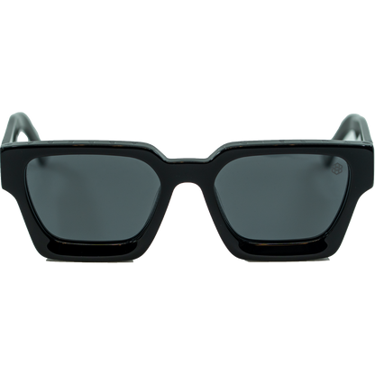 HI-VANTAGE POLARIZED - SILVER